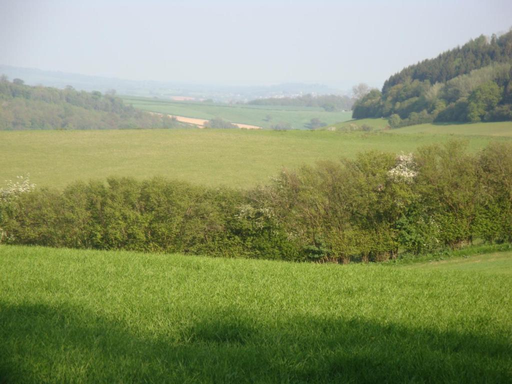 Stokesay Inn Craven Arms Buitenkant foto